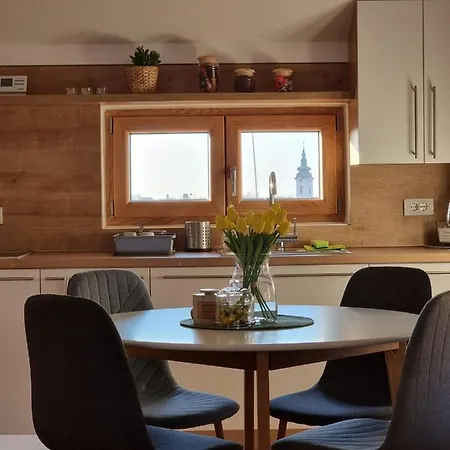 As 2 Apartment Vrsac