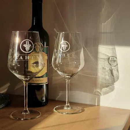 As 2 Apartment Vrsac